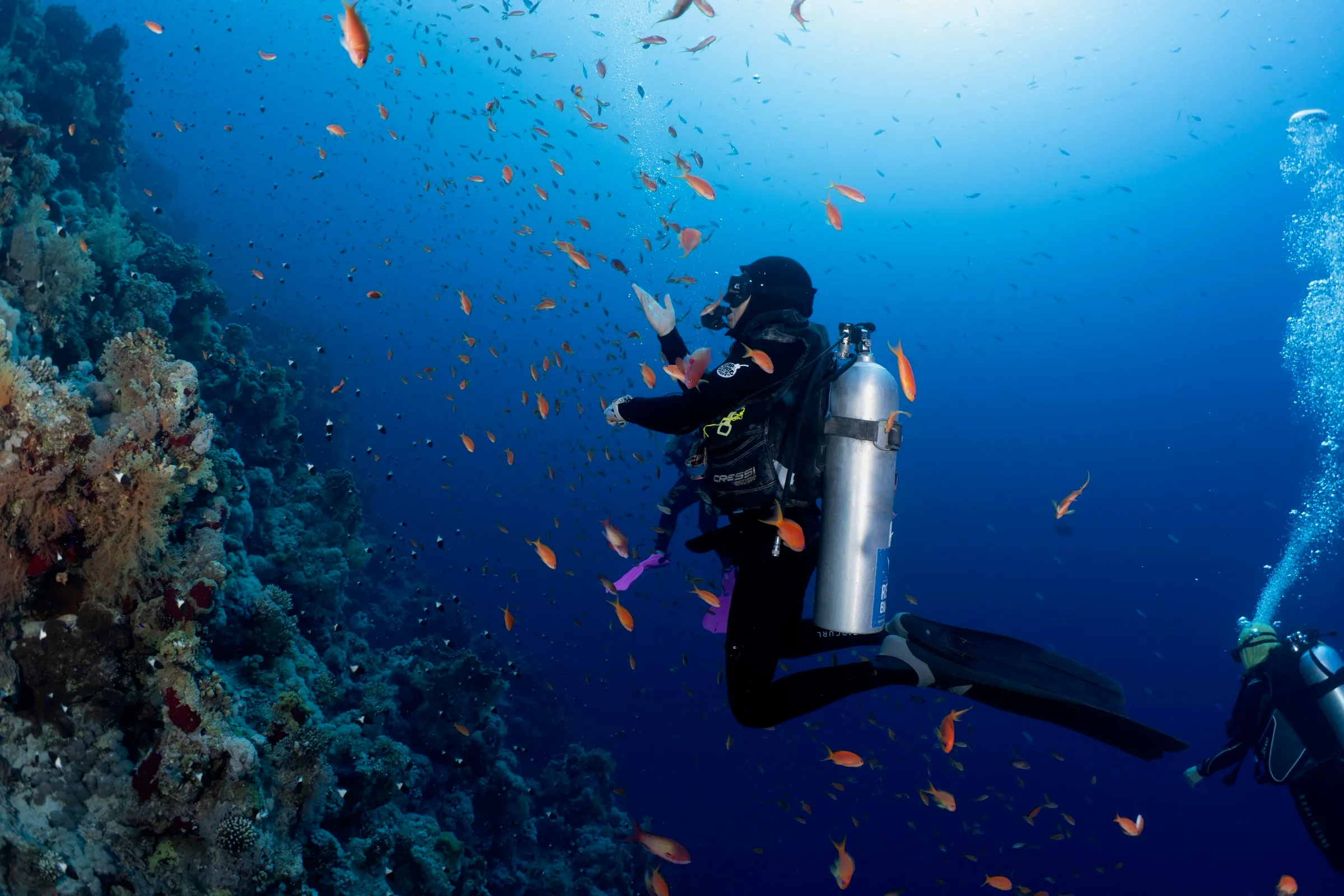Una guía de buceo acompaña a su grupo junto a una pared de coral llena de peces