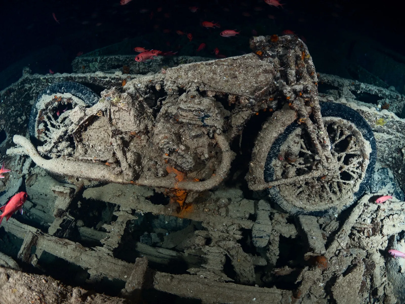 El Thistlegorm