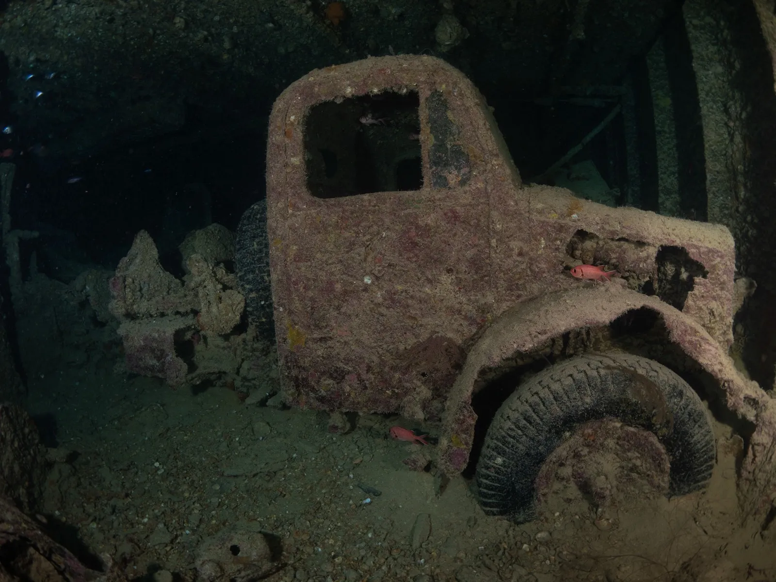 Un camión en la bodega del Thistlegorm