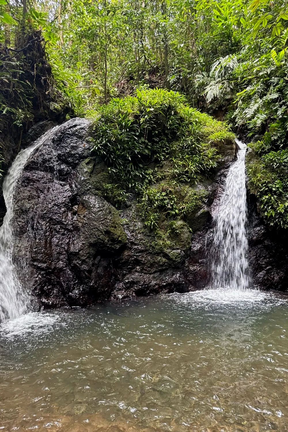Cascada en la selva del Chocó, cerca de Nuquí
