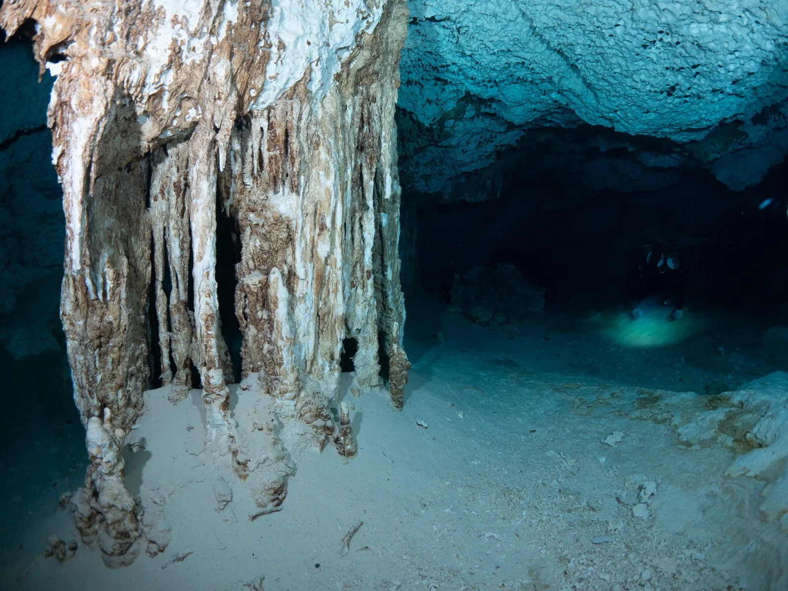 Estalactitas en el cenote