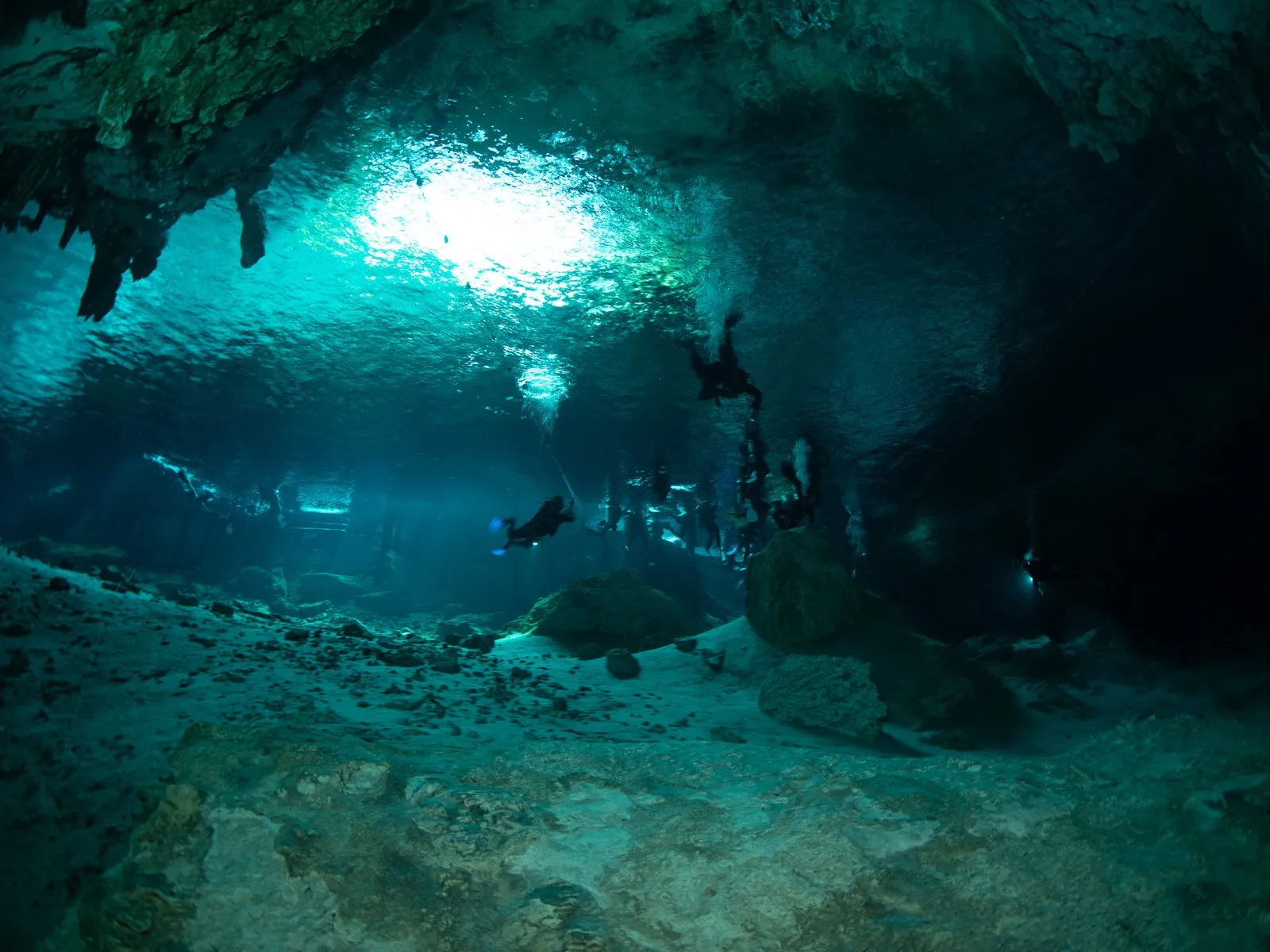Buzos en la boca del cenote