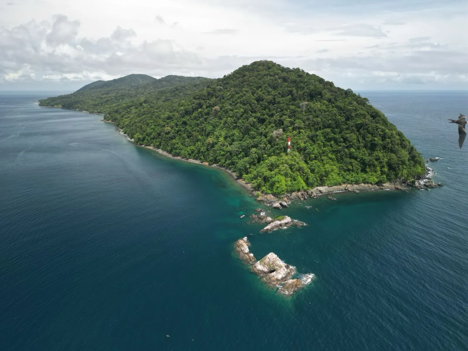 Isla Gorgona vista desde el aire, con su selva y su costa rocosa
